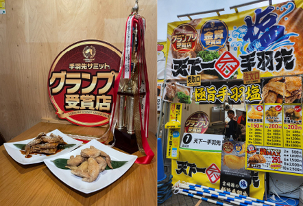 鶏肉 手羽 極旨塩手羽先唐揚げ 手羽ギョーザ 鶏MAX！セット
