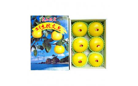 高知県産 温室文旦 5kg 