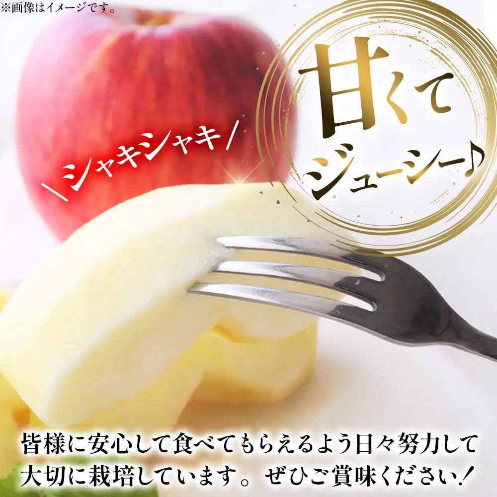 りんご 葉とらず サンふじ 訳あり 約3kg【11月下旬～発送】りんご