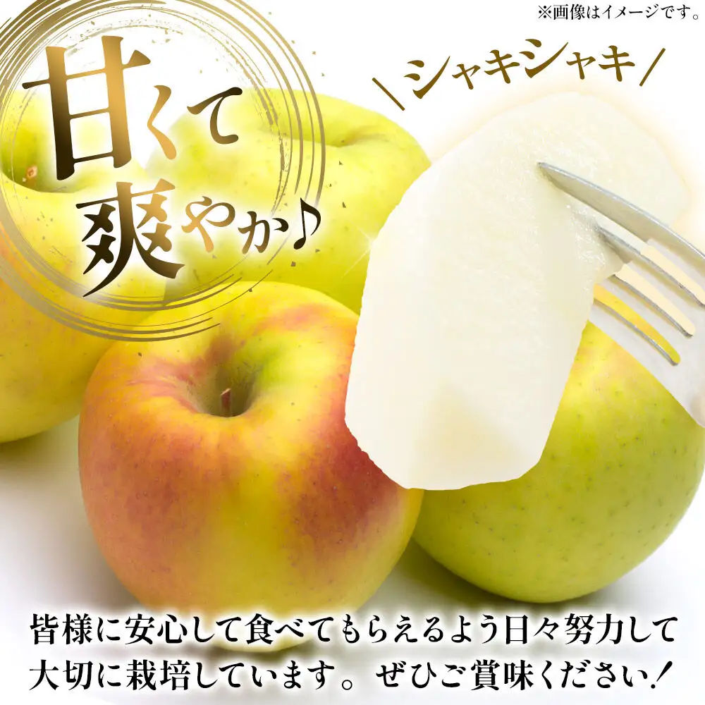 【26年10月下旬～発送】りんご 名月【訳あり】約3kg【先行受付】カワムラファーム 青森県 弘前市 果物 フルーツ 林檎 リンゴ くだもの 不揃い 規格外
