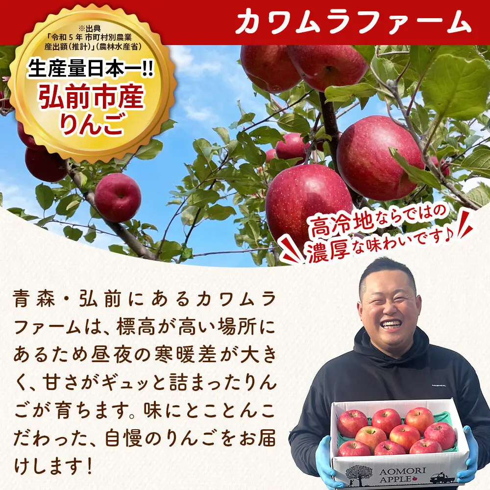 【26年10月下旬～発送】りんご 名月【家庭用】約3kg【先行受付】カワムラファーム 青森県 弘前市 果物 フルーツ 林檎 リンゴ くだもの 不揃い 規格外