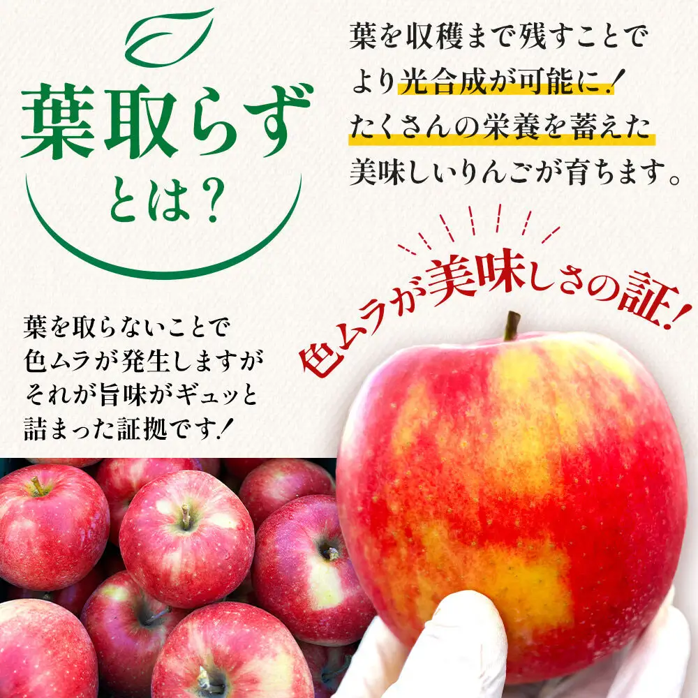 【26年11月下旬～発送】りんご 葉とらず サンふじ＆名月 セット【家庭用】約6kg【先行受付】カワムラファーム 青森県 弘前市 果物 フルーツ 林檎 リンゴ くだもの 不揃い 規格外