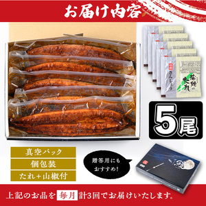 【E57005】＜定期便・計3回(連続)＞うなぎ蒲焼・大(有頭)(5尾・計800g以上×3回、タレ、山椒付)鹿児島 国産 鰻 うなぎ ウナギ 蒲焼き うな丼 うな重 ひつまぶし 土用の丑の日 真空パック お土産 贈答 ギフト プレゼント【一般社団法人きもつき宇宙協議会】