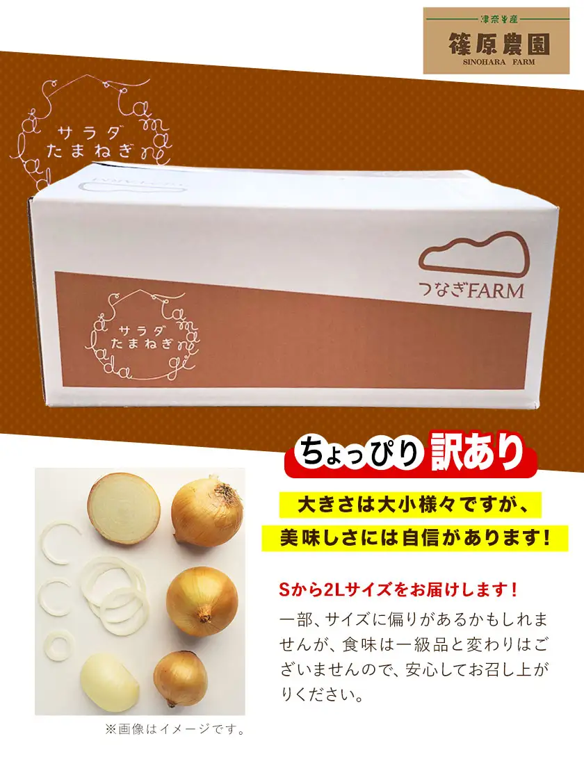 玉ねぎ サラダ 5kg 玉ねぎ