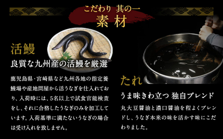 【12ヶ月定期便】鰻天屋 九州産うなぎ 蒲焼 約140g×2尾 セット 合計24尾 たれ 山椒 鰻 ウナギ 蒲焼き 国産 冷凍 鹿児島、宮崎、熊本等産うなぎ原料使用