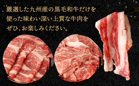九州産 黒毛和牛 切り落とし 600g (300g×2パック)【順次発送】 お肉 牛肉 国産牛 和牛 冷凍 小分け