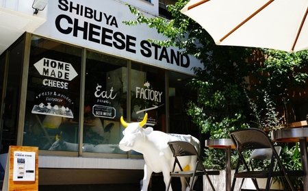 CHEESE STAND東京セミハードチーズホール1/4サイズ
