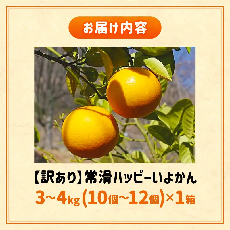 【先行予約】【訳あり】常滑ハッピーいよかん 3～4kg（10個～12個）