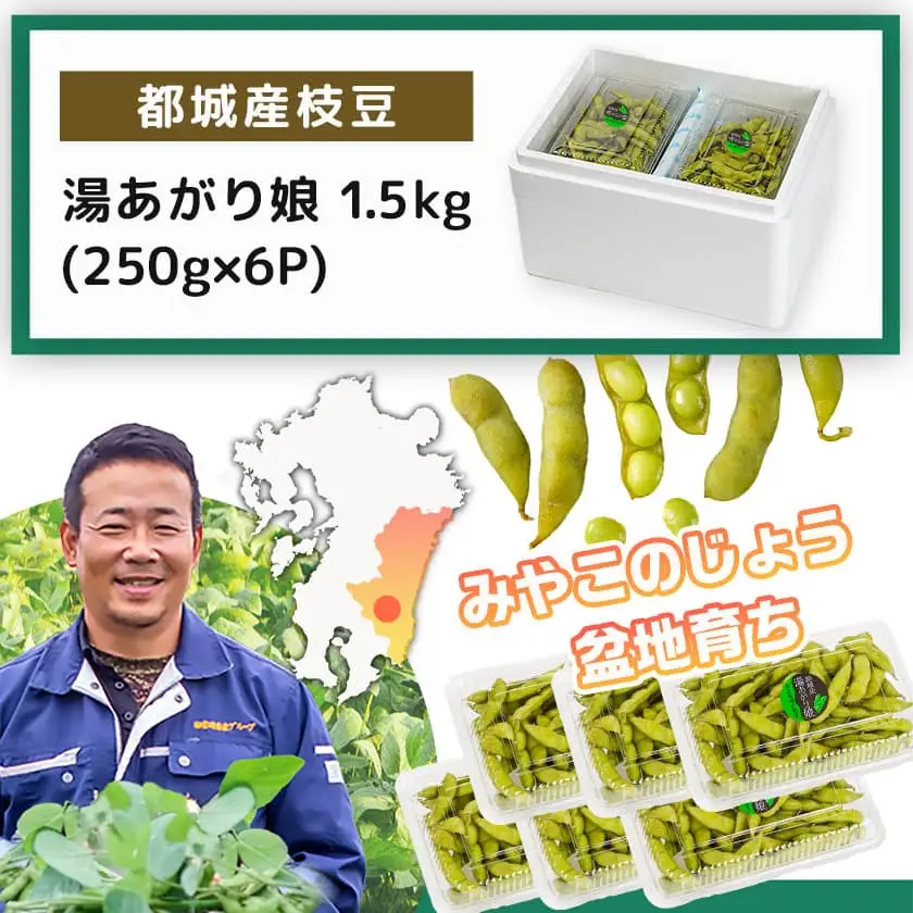 【先行受付】都城産枝豆(湯あがり娘)1.5kg(250g×6P)〔11-B402-7〕_(都城市) 都城産枝豆 湯あがり娘 1.5kg おつまみ 産地直送 先行受付