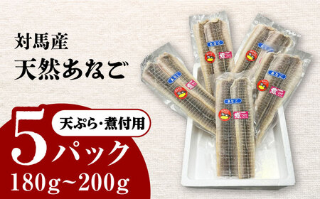 対馬産 あなご 天ぷら・煮付用 5パック[WCS011] 冷凍配送 小分け アナゴ 新鮮 海鮮 冷凍  