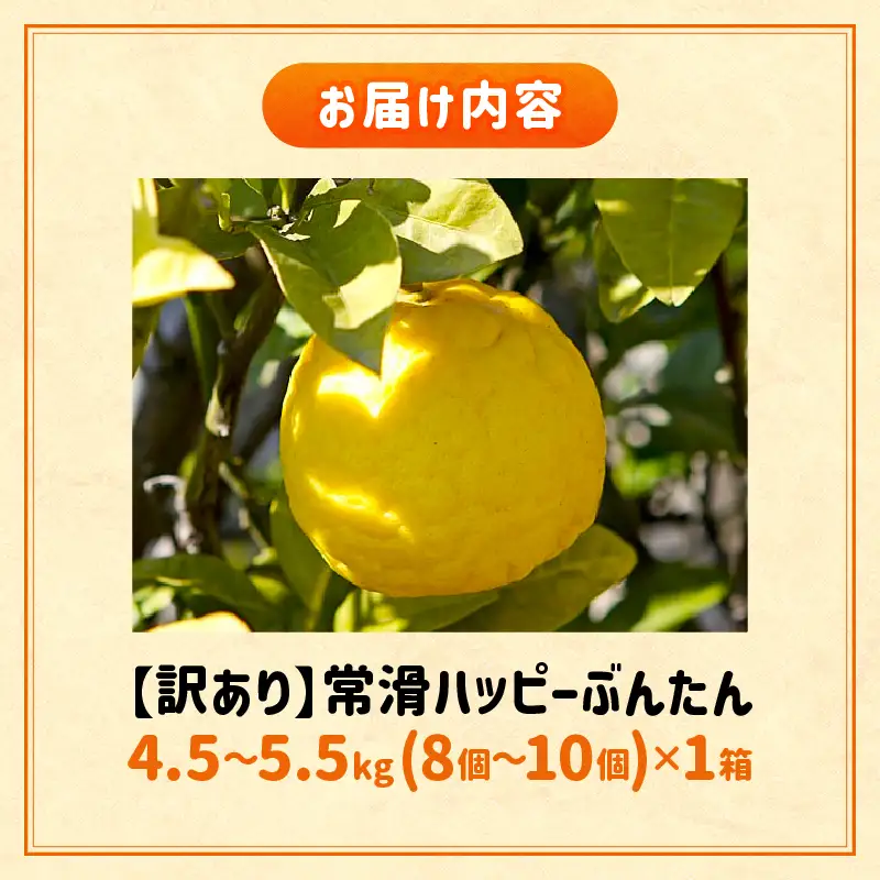【先行予約】【訳あり】常滑ハッピーぶんたん 4.5～5.5kg（8個～10個）