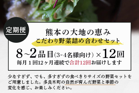 【定期便12回】熊本の大地の恵み 旬の こだわり野菜詰め合わせセット 8?12品 （3?4名様向け）12カ月配送 獲れたて 新鮮 野菜 セット 詰め合わせ 詰合せ 定期便 産地 直送 国産 季節 旬野菜 家族 ファミリー 多良木町 024-0812