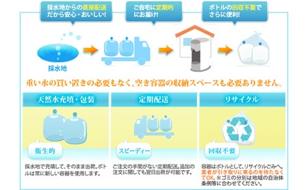 【12回定期配送】日本のおいしい天然水12L×2本（smart203ホワイト）【配送不可：北海道・沖縄・離島】◇