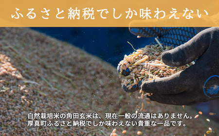 【全3回定期便】【玄米】 自然栽培米 角田玄米（ななつぼし）5kg《厚真町》【カクタファーム】 [AXAR004] 米 お米 玄米 ななつぼし ご飯 北海道 定期便