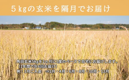 【隔月・全6回定期便】【玄米】 自然栽培米 角田玄米（ななつぼし）5kg《厚真町》【カクタファーム】 [AXAR005] 米 お米 玄米 ななつぼし ご飯 北海道 定期便