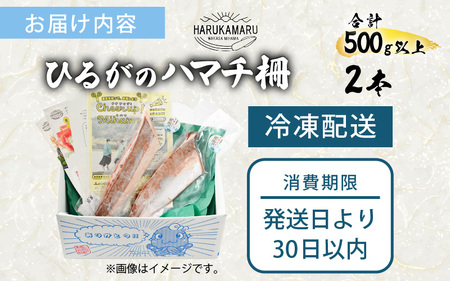 【先行予約】天然！地物！ひるがのハマチ 柵2本【合計500g以上】【2027年5月下旬以降順次発送予定】はまち ぶり ブリ [m36-a029]