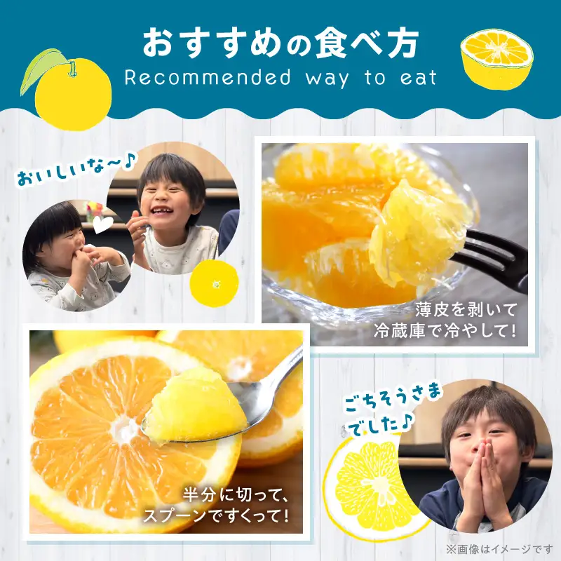 S040-032_農家の手摘み　あまくさ木成り晩柑　5kg