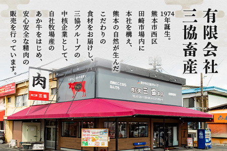 【GI認証】くまもとあか牛 トモサンカク 120g×4枚【合計 480g】 熊本県産 ブランド くまもと あか牛 和牛 極上 希少 牛肉 ロース ステーキ 赤身 肉 熊本 046-0674