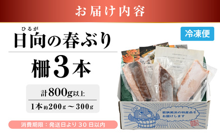 【先行予約】天然！地物！ひるがの春ぶり 柵3本【合計800g以上】【2027年5月下旬以降順次発送予定】ブリ 鰤 [m36-b020]