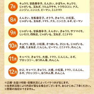 【奇数月お届け】むなかた旬のお任せセット(野菜) 7～9品【ほたるの里】_HB0172