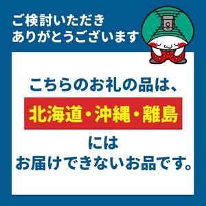 栃木県産 とちぎの星 無洗米 10kg |  お米 米 こめ おにぎり ごはん ご飯 令和6年産 栃木県 真岡市 ブランド米 