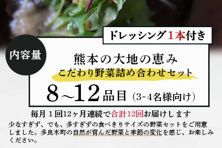 【定期便12回】熊本の大地の恵み≪ 野菜で野菜を食べる ≫ 旬のこだわり 野菜 ＆ドレッシング セット (3?4名様向け) 野菜 獲れたて 8～12品 直送 旬 新鮮 定期便 野菜ドレッシング 詰め合わせ 詰合せ 熊本県 多良木町 024-0816