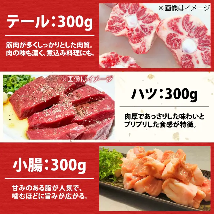 【全6回定期便】佐賀牛6種食べ比べ！ ホルモンバラエティセット 10.8kg 4-5人前  タン・小腸など 吉野ヶ里町/やきとり紋次郎[FCJ105]
