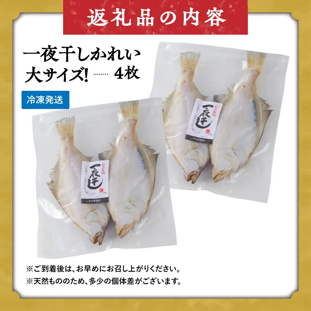 一夜干しかれい 大サイズ！(4枚)【鳥取県 境港市】