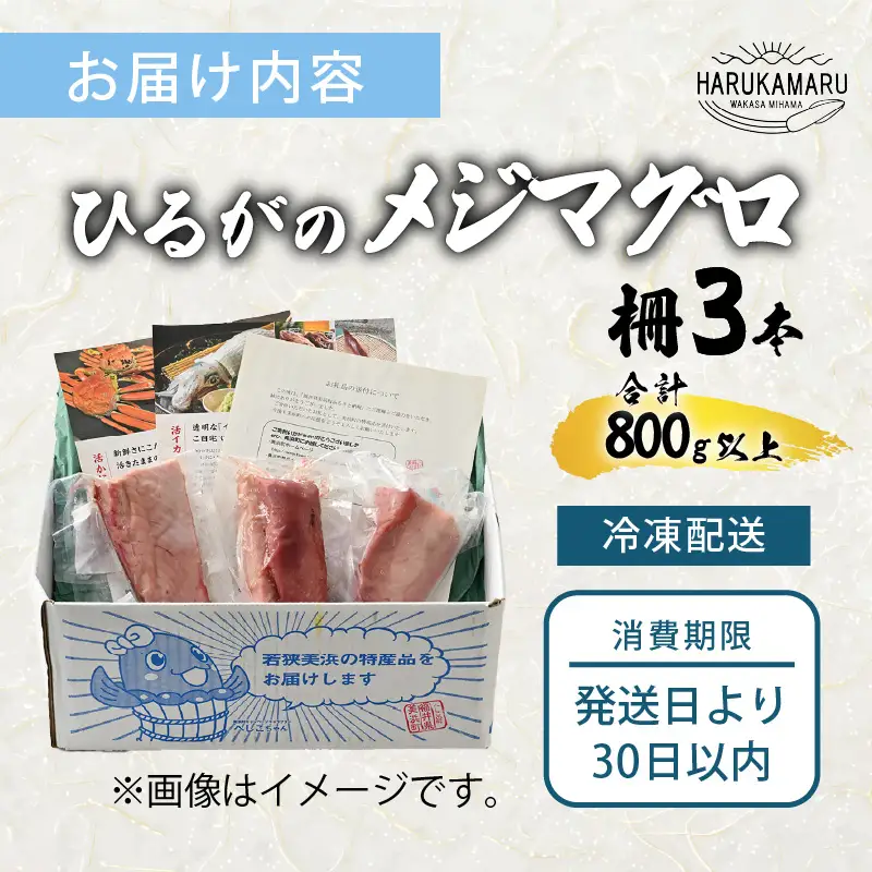 【先行予約】天然！地物！ひるがのメジマグロ 柵3本【合計800g以上】【2027年2月中旬以降順次発送予定】【マグロ 刺身】 [m36-c003]