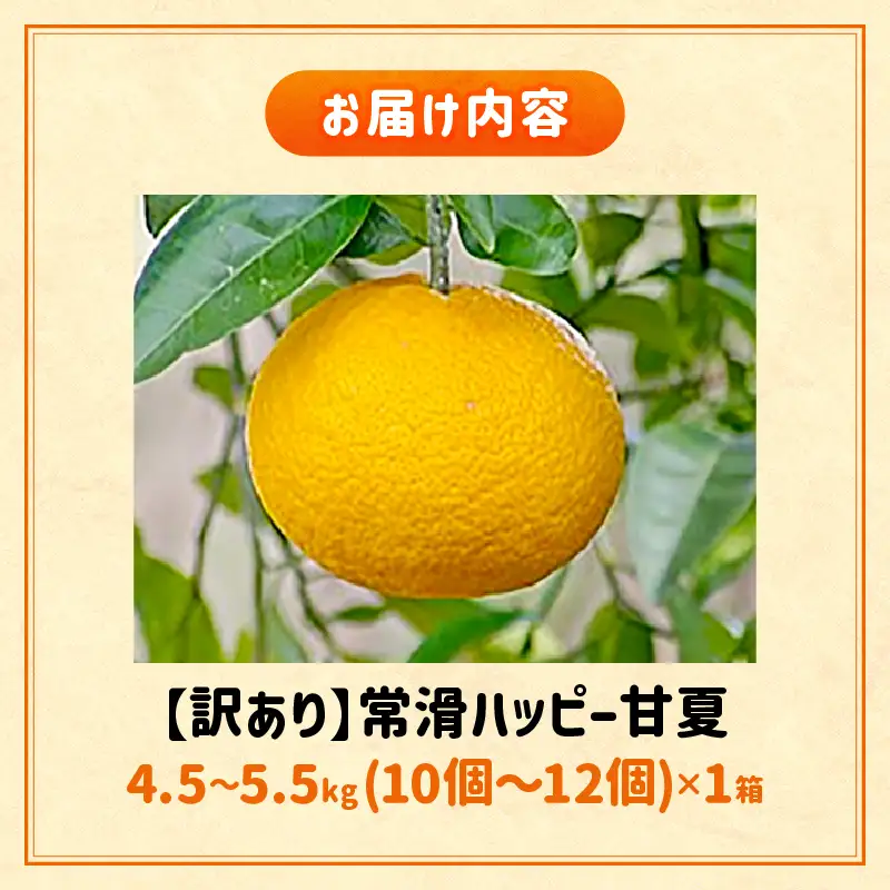 【先行予約】【訳あり】常滑ハッピー甘夏 4.5～5.5kg（10個～12個）