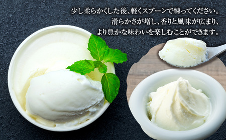 信州アイス 24個 4種 各6個 信州アイス