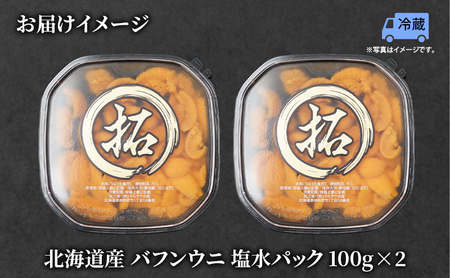 うに 北海道産 バフンウニ 塩水パック 100g×2 ウニ
