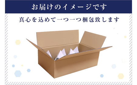 【お試し無洗米】三角おにぎり米　1kg×10個　新潟県魚沼産コシヒカリ　10数年ぶりの復刻パッケージ 米 こしひかり 白米 無洗米 ご飯