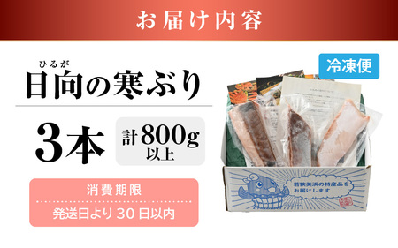 【先行予約】天然！地物！ひるがの寒ぶり 柵3本 【合計800g以上】【2027年1月中旬以降順次発送予定】寒鰤 [m36-b019]