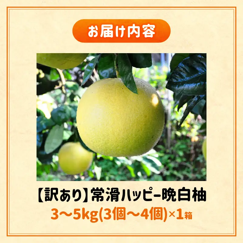 【先行予約】【訳あり】常滑ハッピー晩白柚 3～5kg（3個～4個）｜果物 フルーツ 柑橘 ばんぺいゆ バンペイユ 大きい みかん 訳あり ご家庭用 数量限定 愛知県 常滑市 知多半島