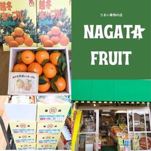 越冬完熟袋掛けネーブル 約5kg （15〜21個入り）