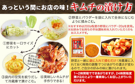 キムチ革命 キムチパウダー お試しパック 1袋×60g