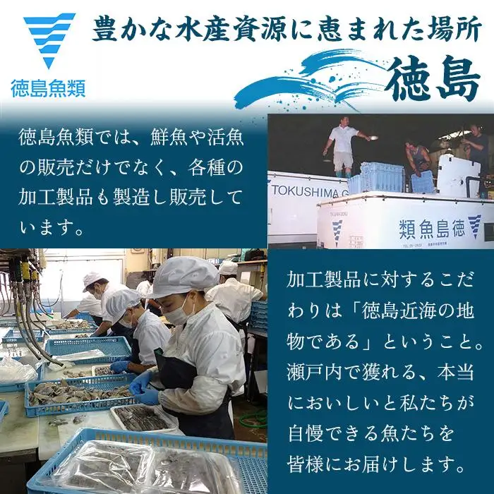 【お歳暮・贈答用・のし付き】冷凍ハモ鍋セット（2～3人前）（徳島産「天然鱧」切り身・つくね）