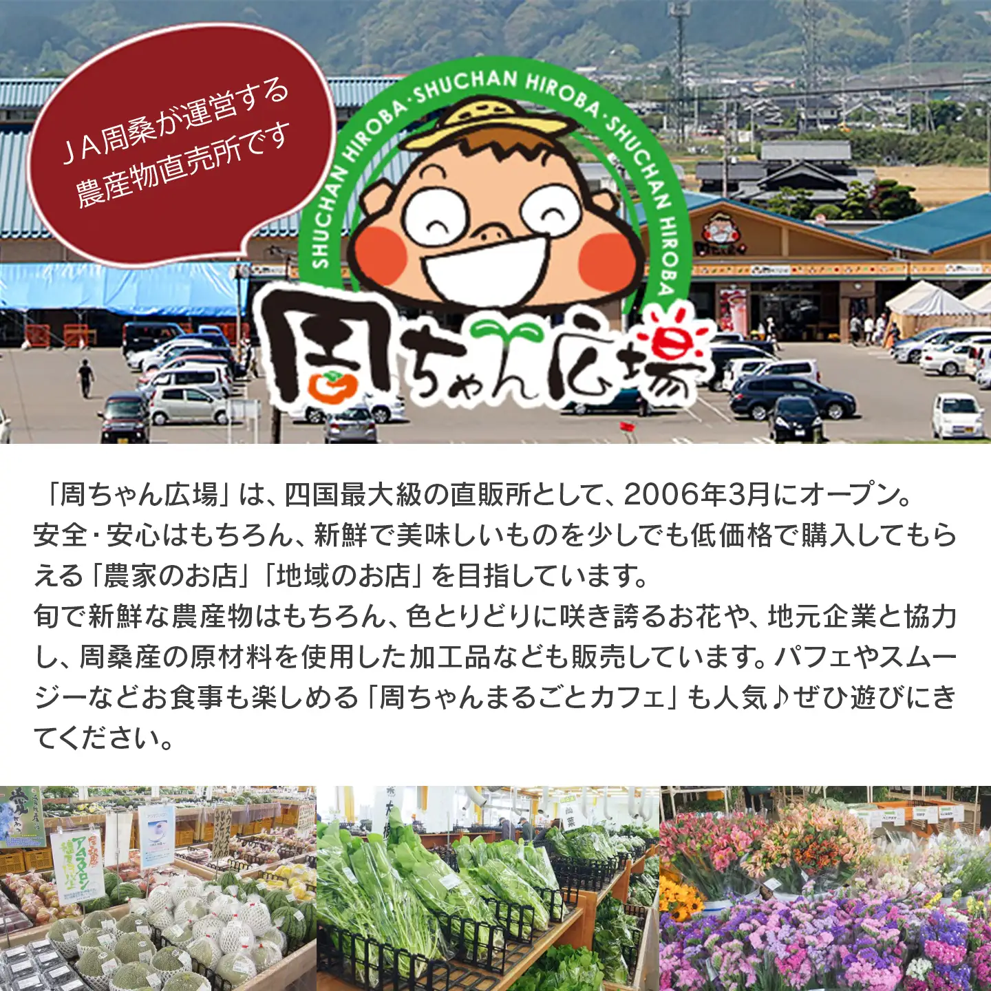 【ゼリー】飲むアムスメロンゼリー（パウチタイプ）150g×24個
