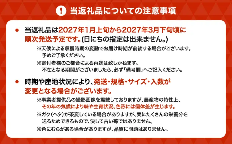 令和8年熊本地震復興支援 先行予約 いちご 【2027年2月発送】季節限定！ 新鮮朝摘みいちご「さがほのか」約1.5kg （250g×6パック