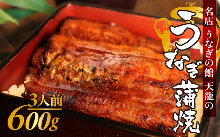 うなぎの蒲焼（真空パック）3人前（約600g）｜ うなぎ蒲焼
