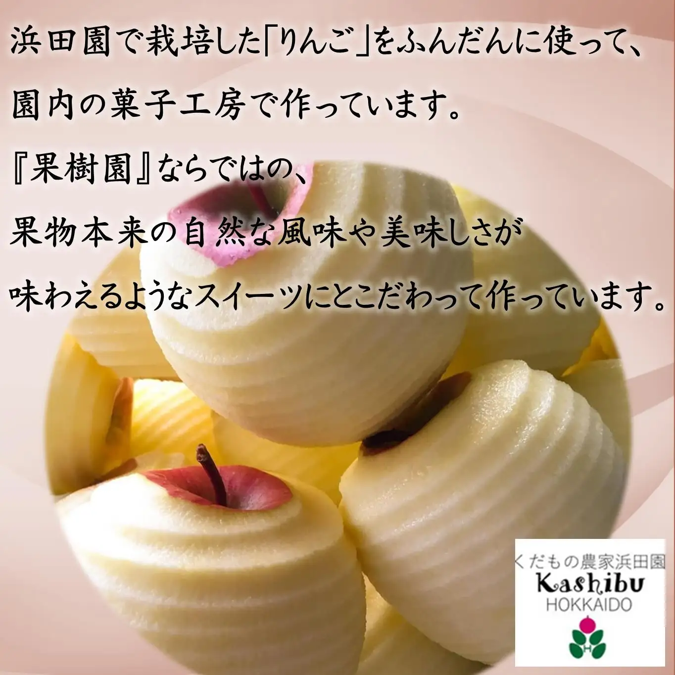 北海道壮瞥産　りんごの濃厚チーズケーキ（直径約20cm） SBTI003