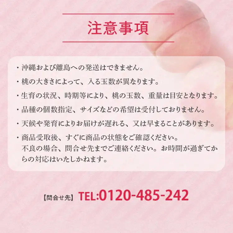 透過式光センサー川中島白桃 特秀3kg相当 9玉～11玉＜ ふくしま未来農業協同組合 ＞ | ふくしま 桃 福島 もも 国見 モモ ※2026年8月～発送