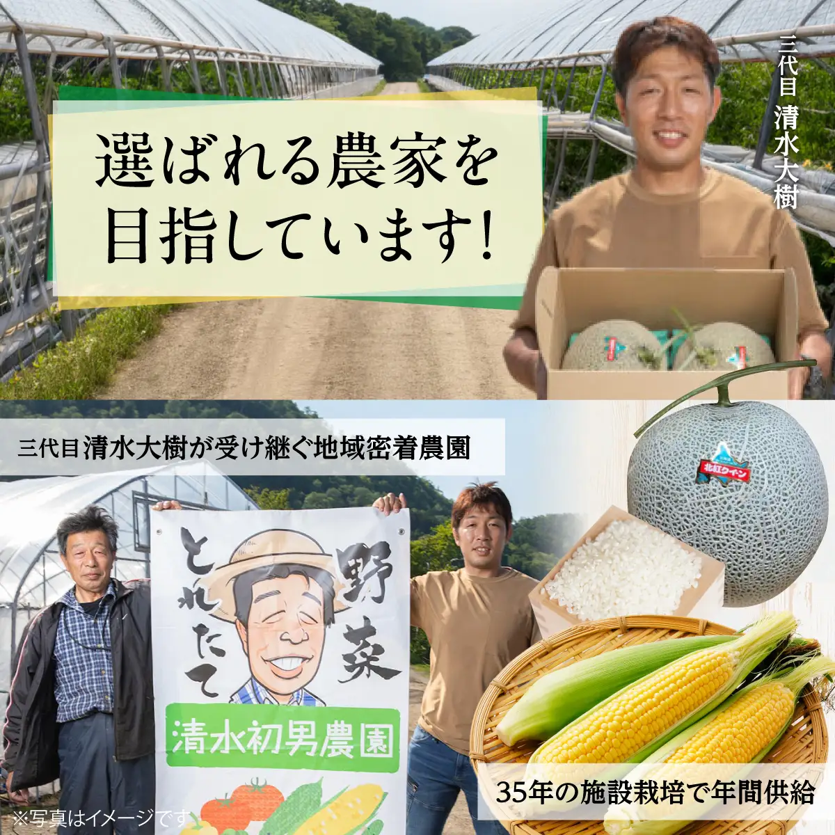 ＜2026年8月初旬よりお届け＞約10kg！北海道壮瞥産とうもろこし（恵味）【Ｌ～2Lサイズ 22～25本】 SBTP006