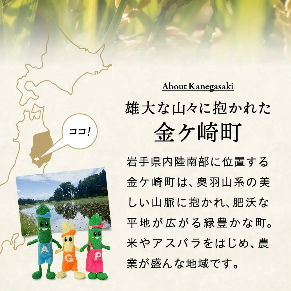 令和7年産 ひとめぼれ 5kg