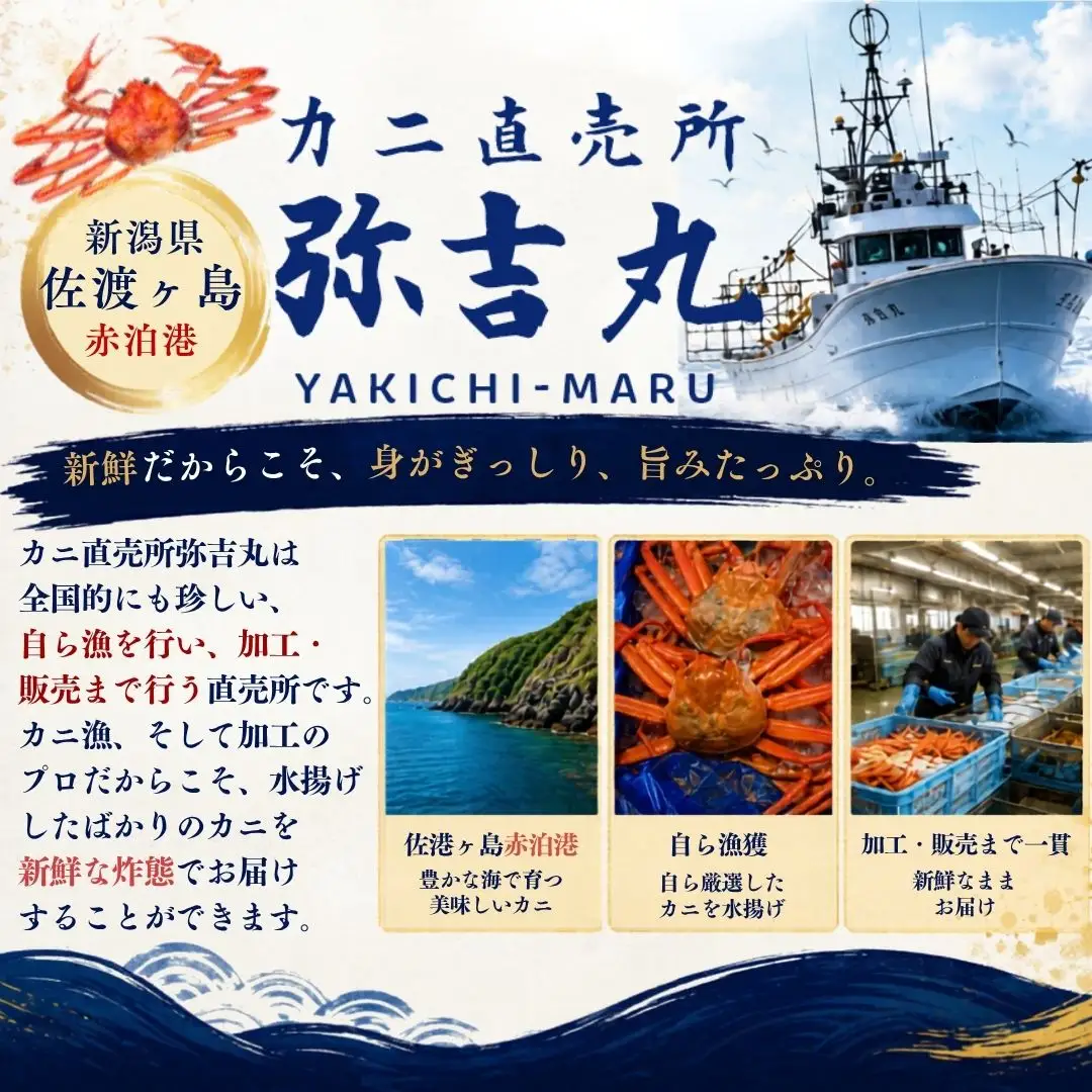 紅ズワイガニ 甲羅盛り 100g 5パック 蟹ミソ入 | 新潟県 佐渡市 ズワイガニ