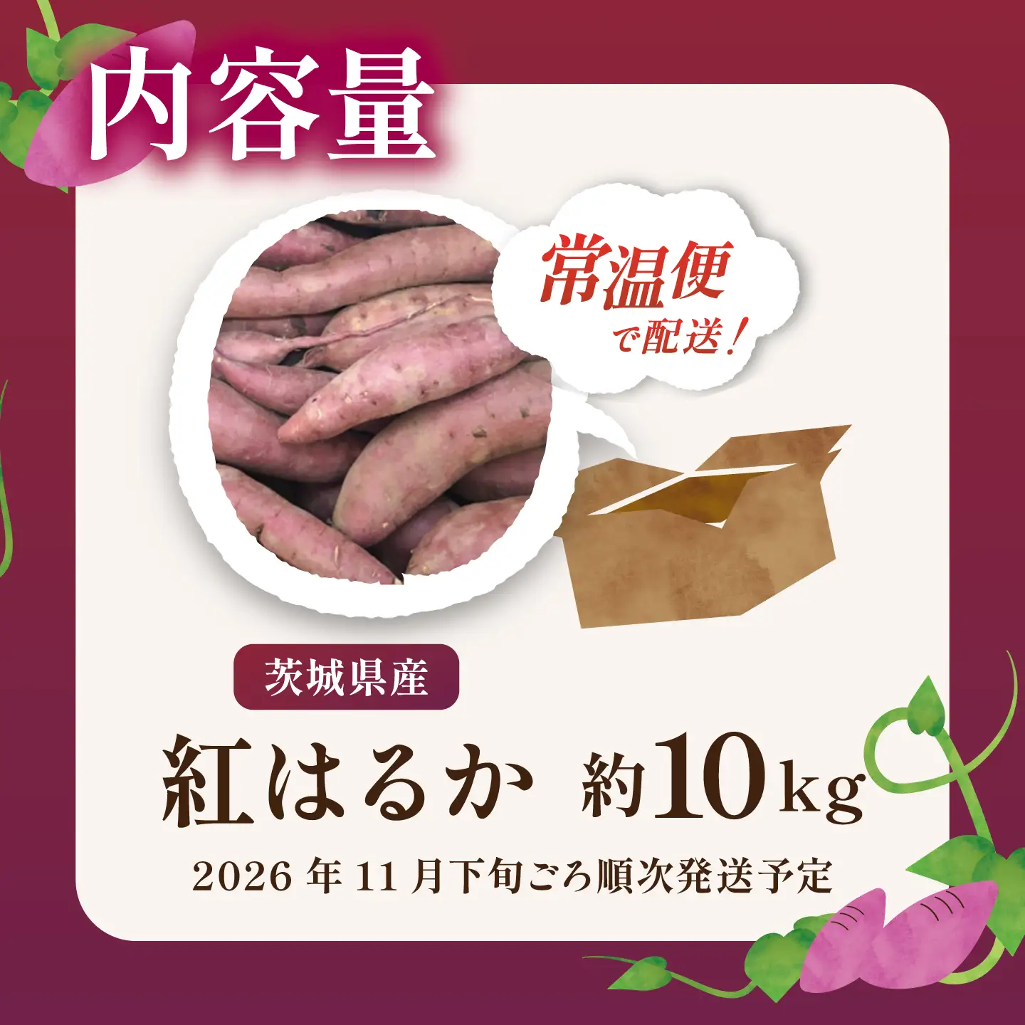 さつまいも 熟成 紅はるか 訳あり 10kg