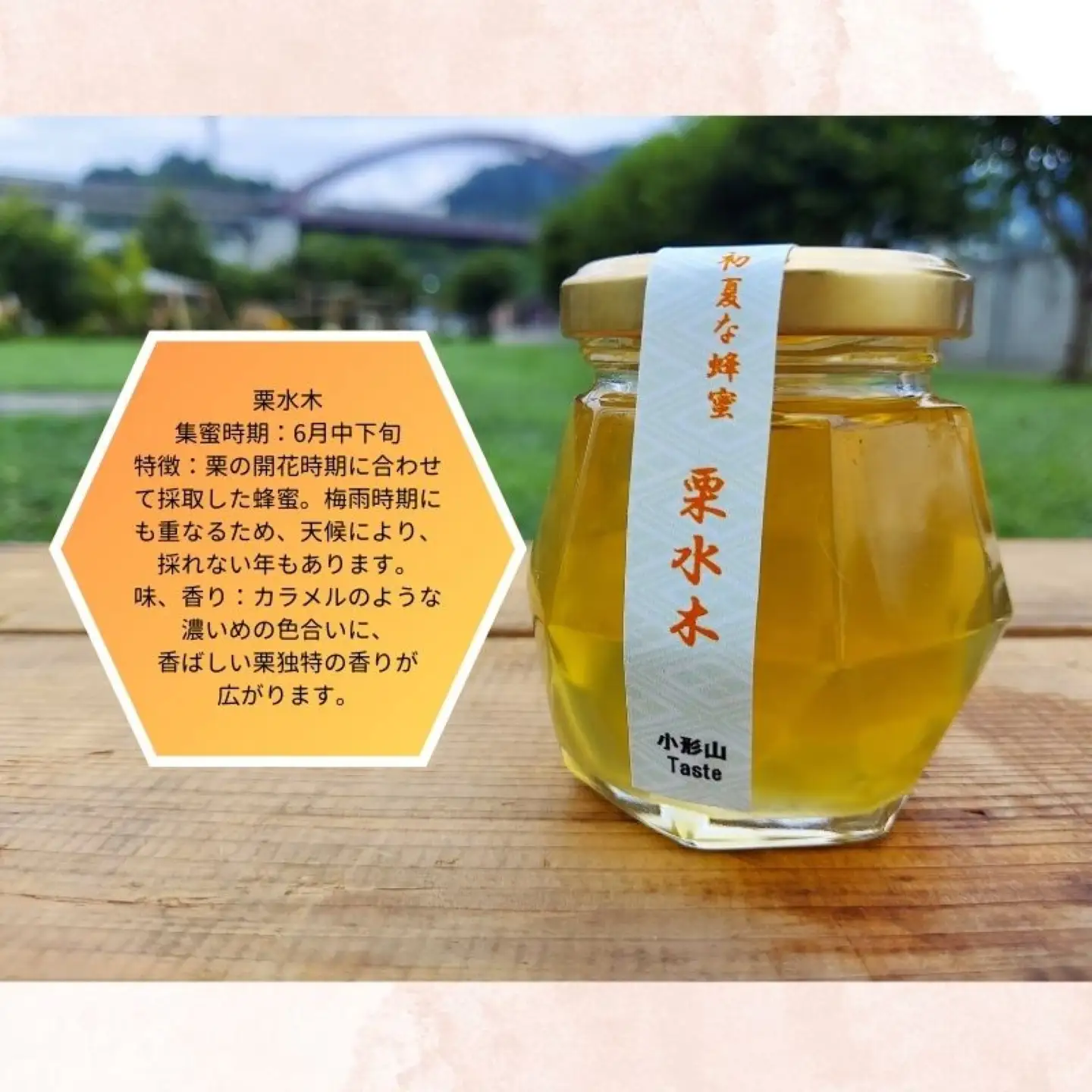 日本みつばちの蜂蜜＋西洋みつばちの蜂蜜食べ比べ4種セット 100ｇ×４　ハチミツ　はちみつ　ミツバチ　食べ比べ　ハチミツセット　パン　ヨーグルト