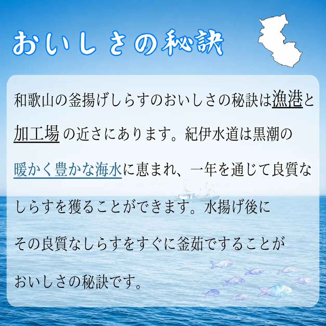 冷凍釜揚げしらす700g（100g×7パック） / シラス 厳選 小分け 冷凍便 お米のおとも【dig002A】