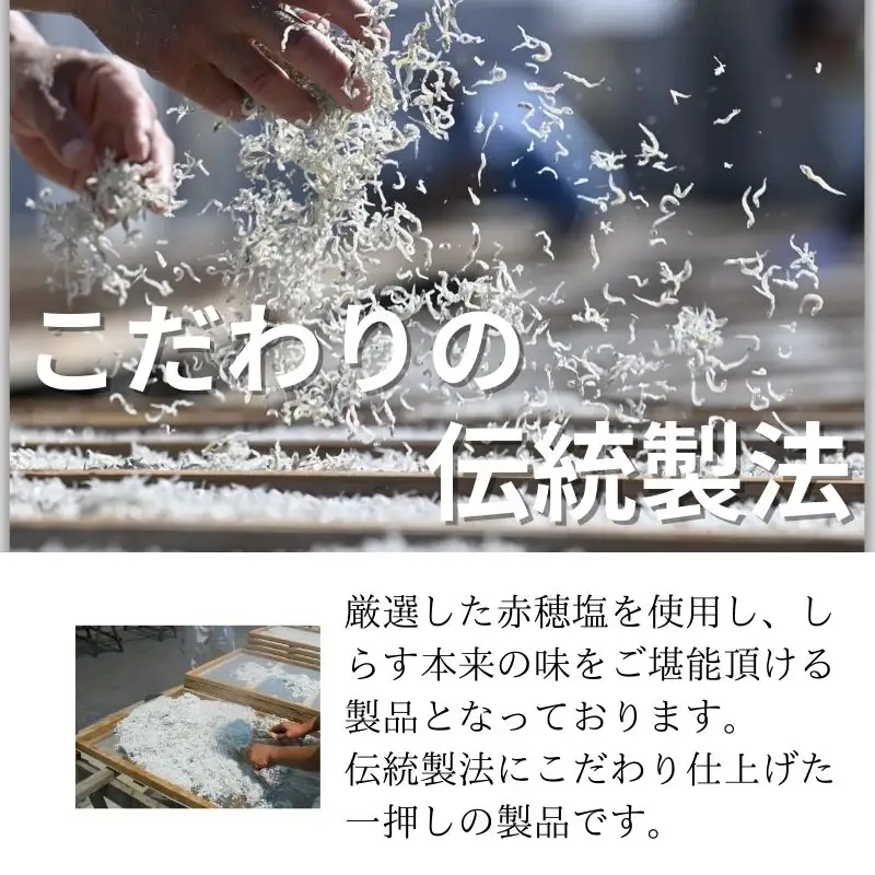 冷凍釜揚げしらす1kg（100g×10パック） / シラス 厳選 小分け 冷凍便 大容量 お米のおとも【dig003A】